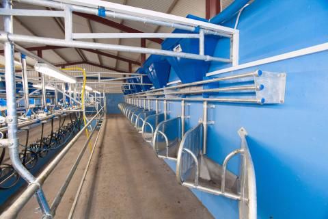 Swiftflo mangers Dairymaster