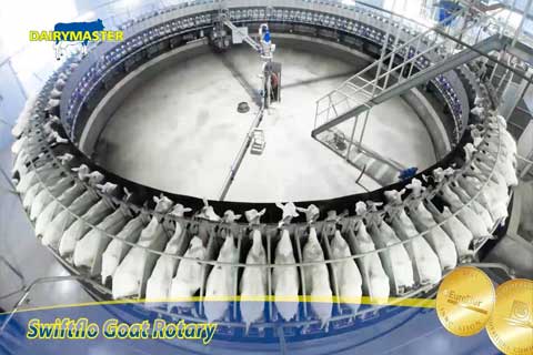 rotary goat Dairymaster