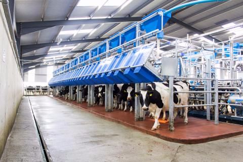 swiftflo fast exit parlour